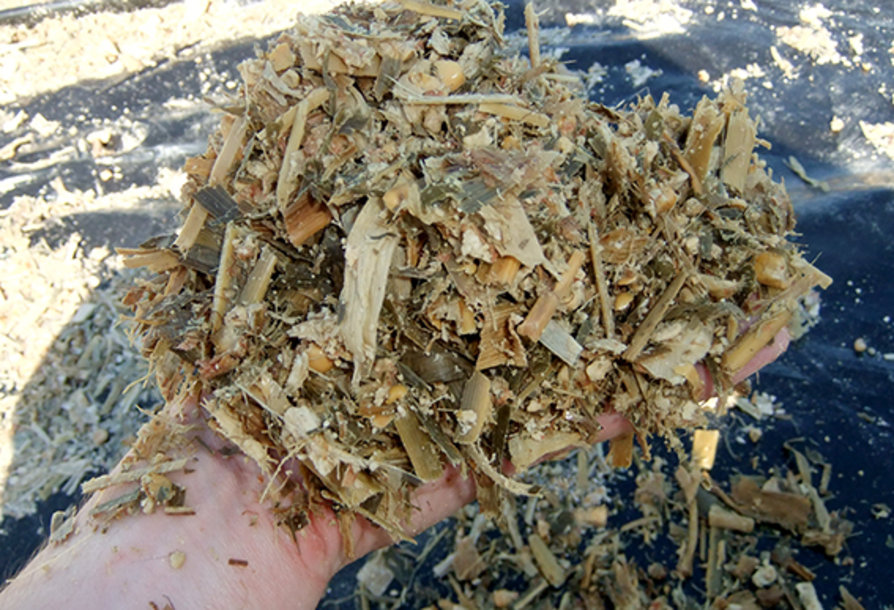 Batter quality silage USA