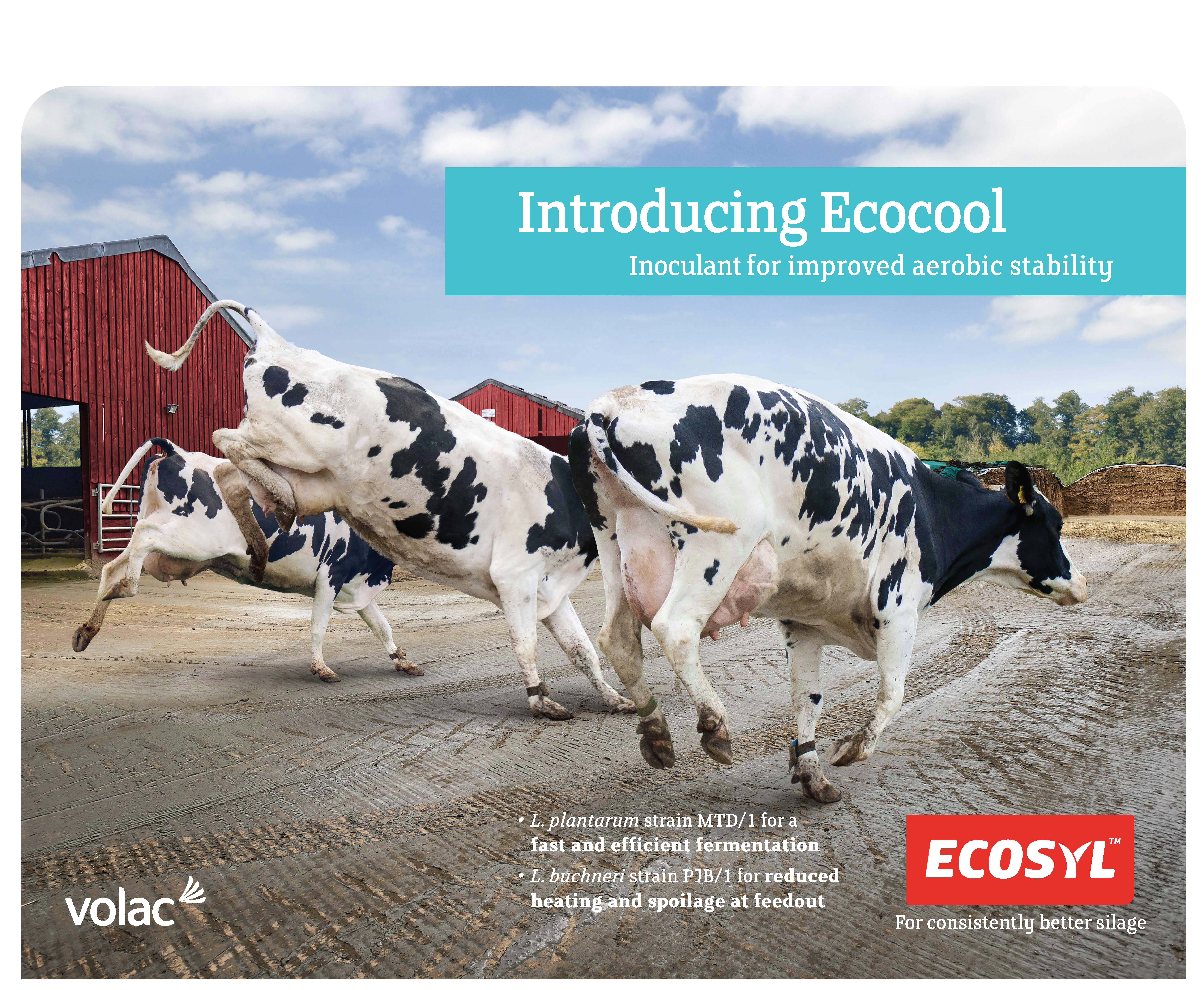 Ecocool launch