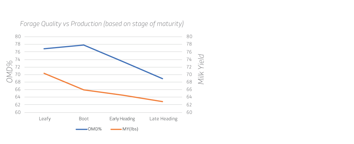 Forage Quality Vs Production