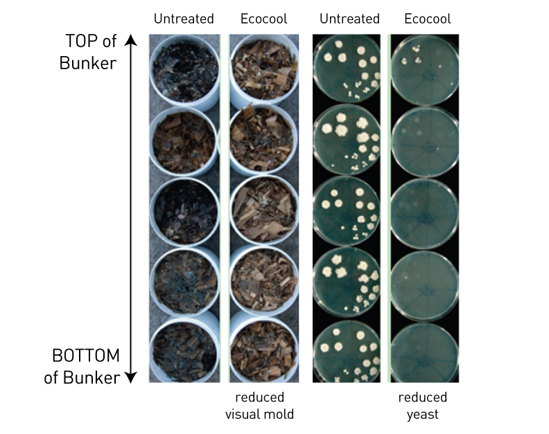 Ecocool effects on mould growth USA